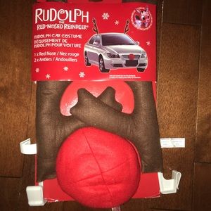 Christmas Car Costume